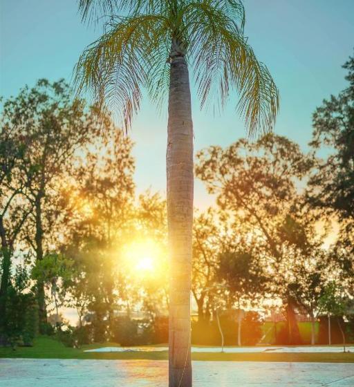 Gran Hotel Las Fuentes