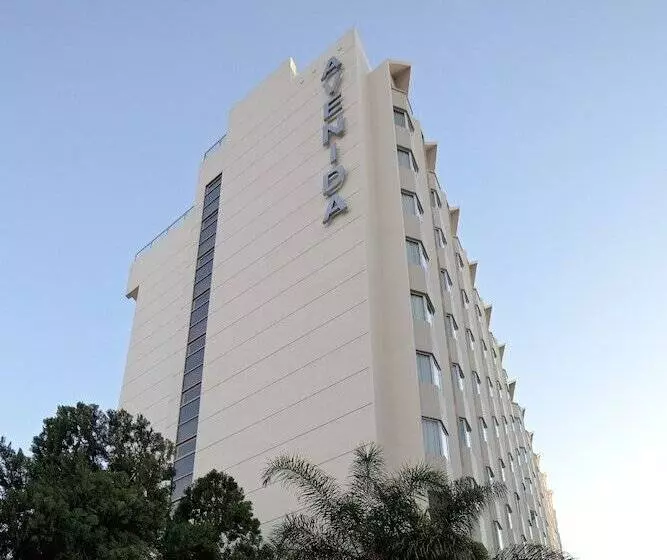 فندق Avenida