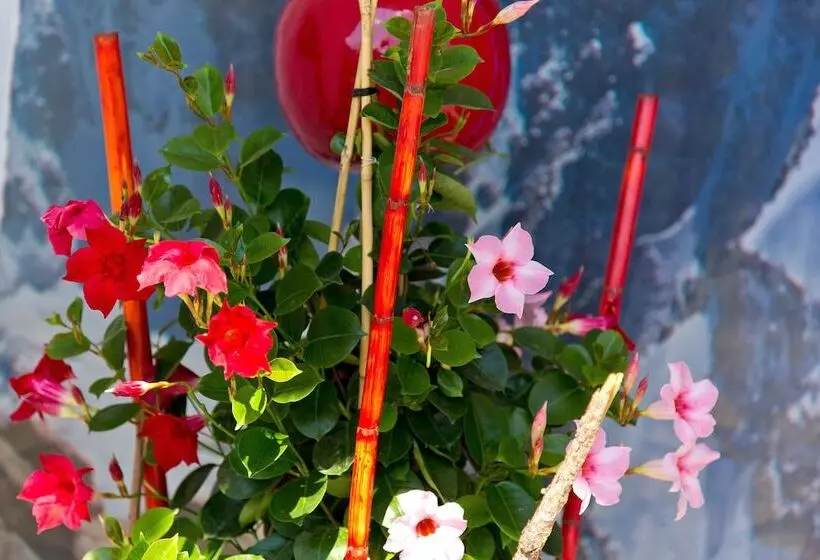 ホテル Berghof Graml