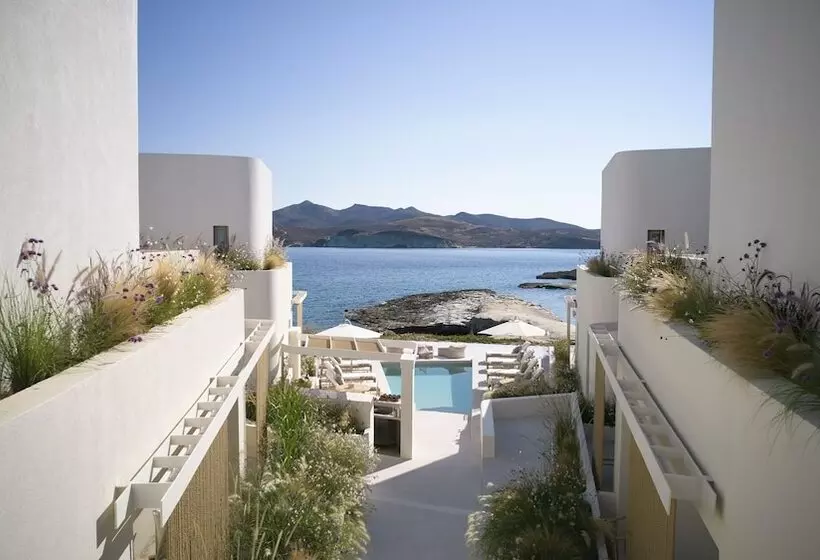 Hôtel White Pebble Suites