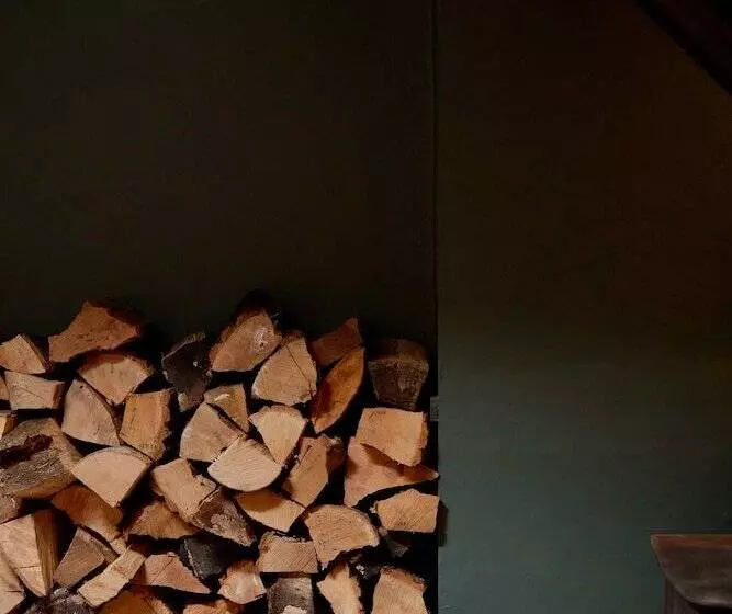 هتل The Queen S Head