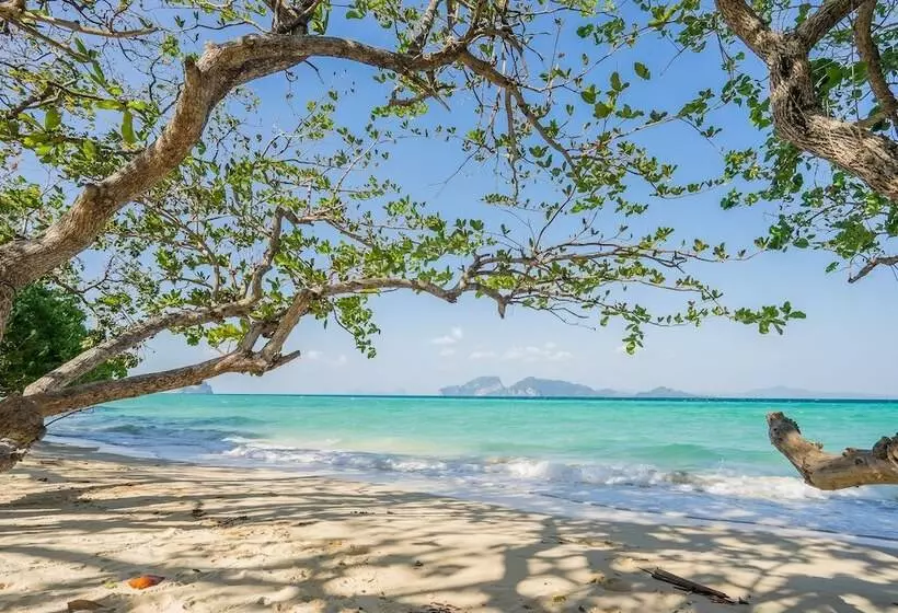 호텔 Sevenseas Resort Koh Kradan