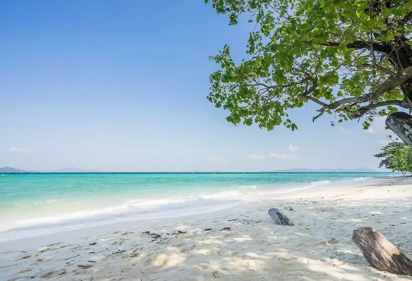 호텔 Sevenseas Resort Koh Kradan