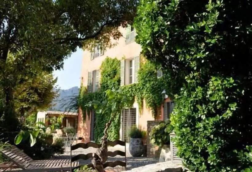 تختخواب و صبحانه Maison N 9