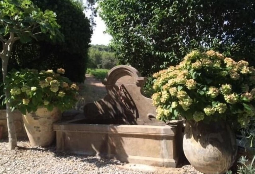 تختخواب و صبحانه Maison N 9