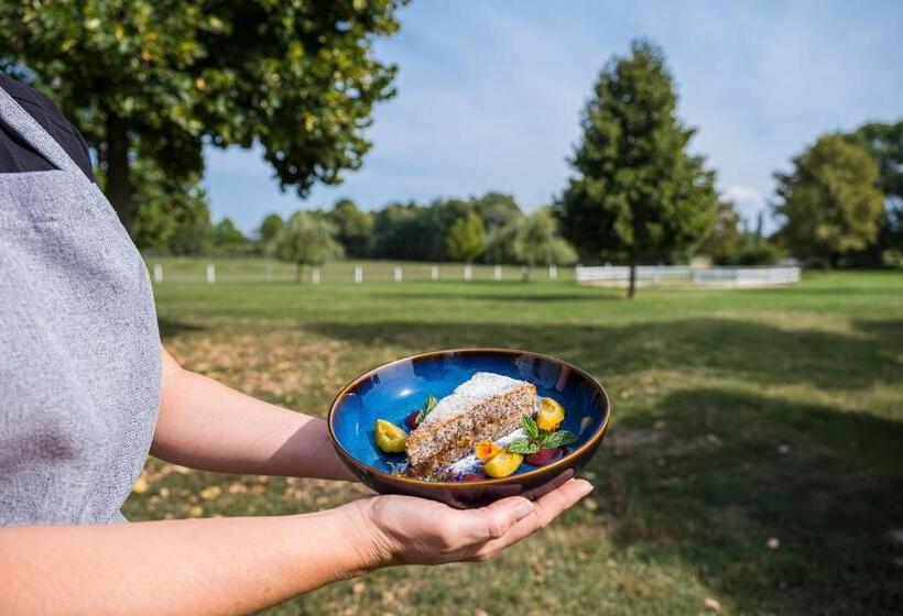 Bed and Breakfast Matild Country