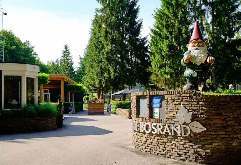 リゾートホテル Vakantiepark De Bosrand