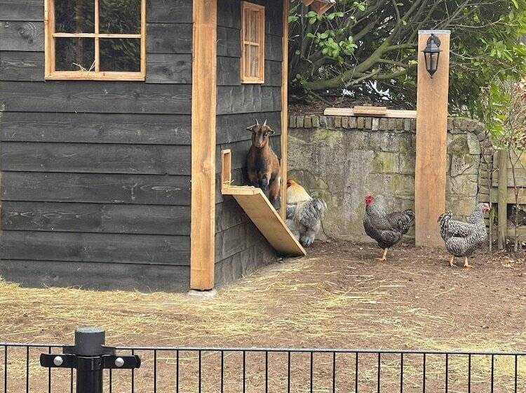 אתר נופש Vakantiepark De Bosrand