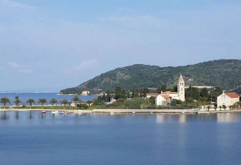 Traditional House With Two Apartments