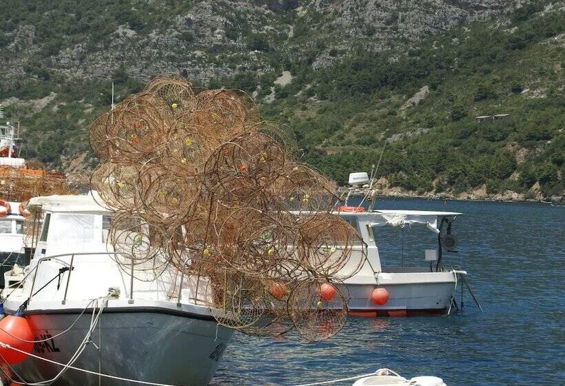 Traditional House With Two Apartments