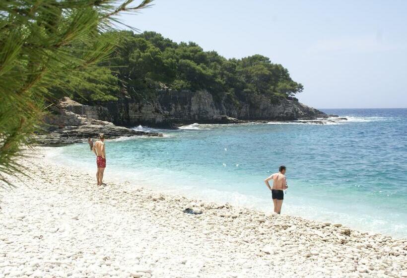 Traditional House With Two Apartments