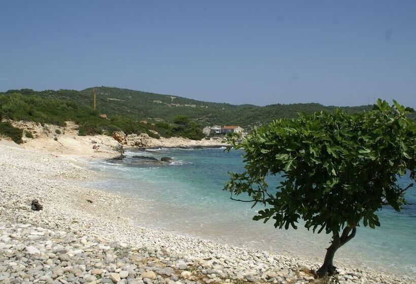 Traditional House With Two Apartments
