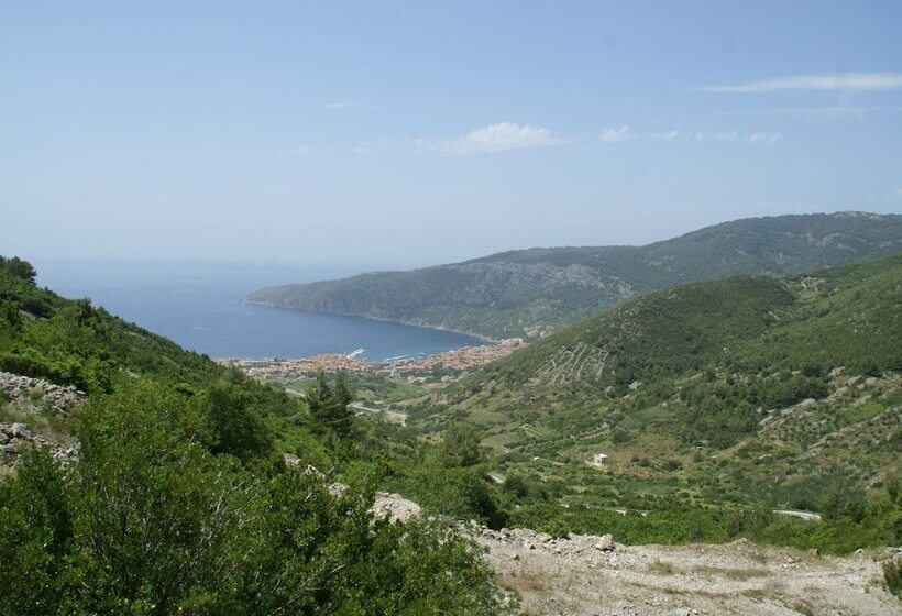 Traditional House With Two Apartments