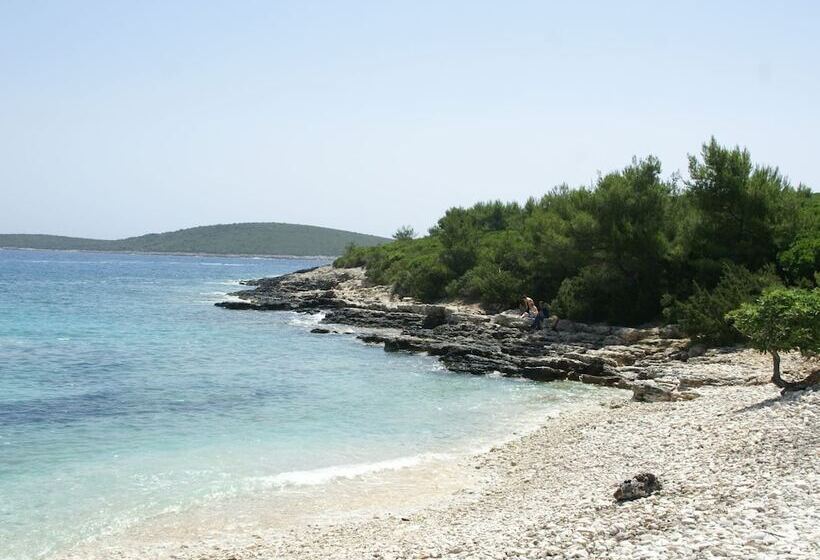 Traditional House With Two Apartments