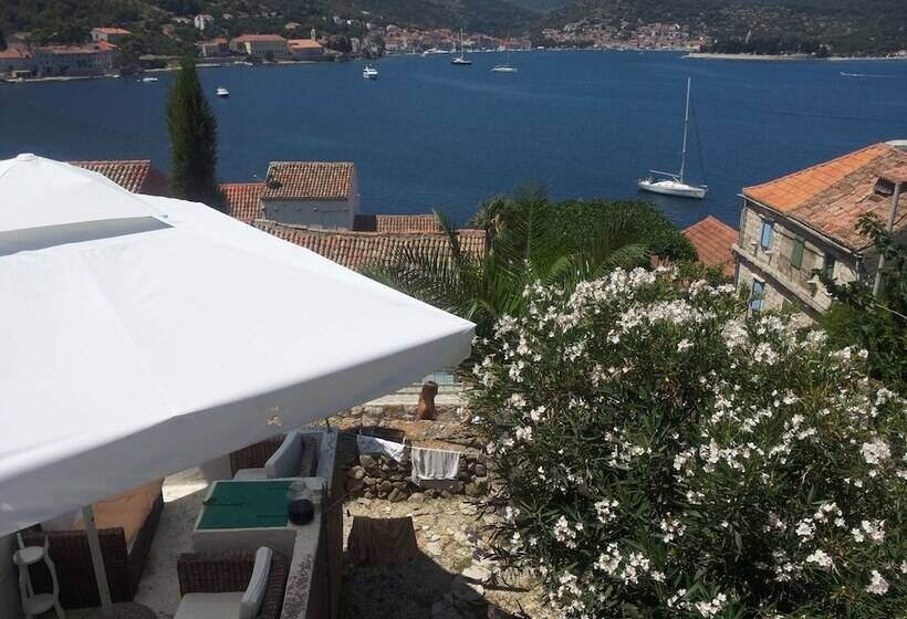 Traditional House With Two Apartments