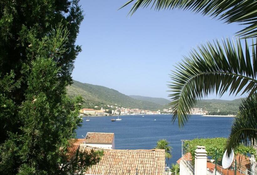 Traditional House With Two Apartments