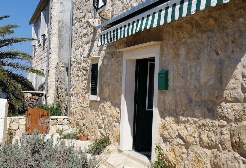 Traditional House With Two Apartments