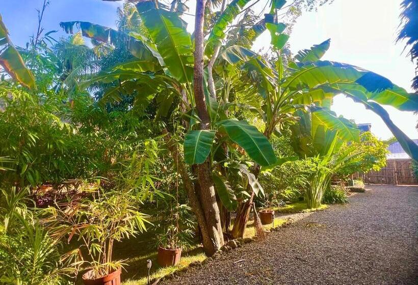 Hotel Nautilus Hostel & Hammocks