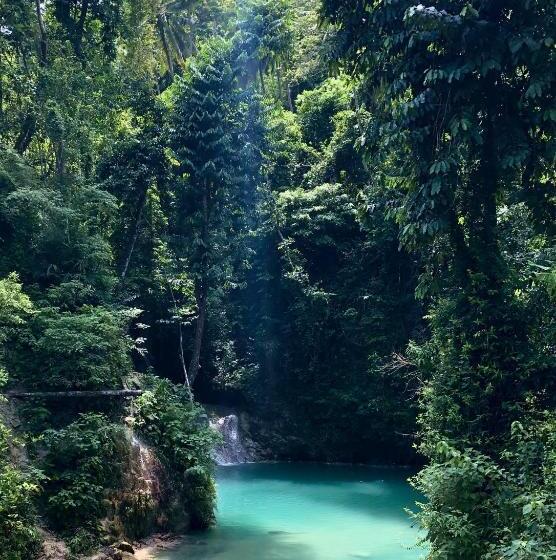 Hotel Nautilus Hostel & Hammocks
