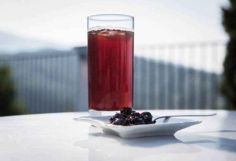 בית מלון כפרי Olga