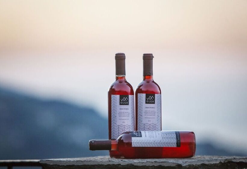 בית מלון כפרי Olga