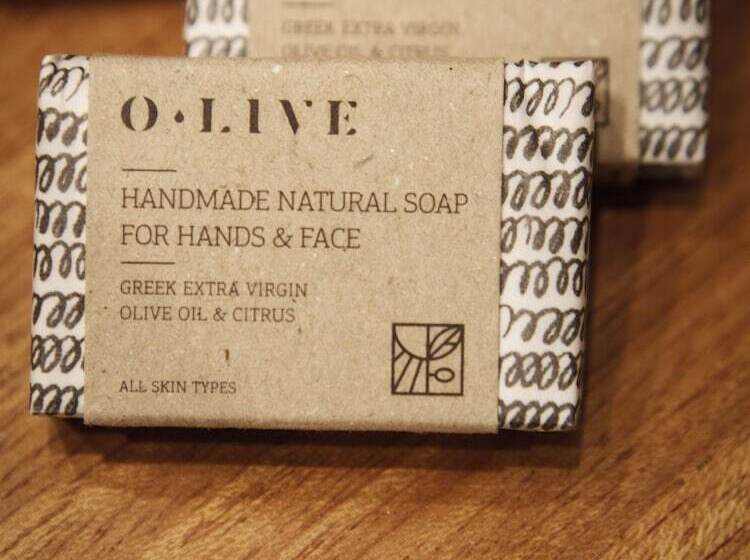 בית מלון כפרי Olga