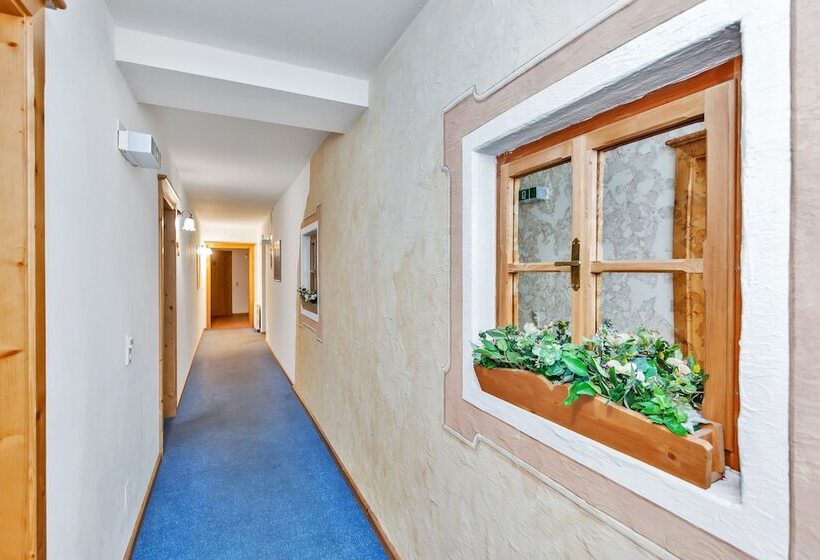 هتل Widmoos By Skinetworks