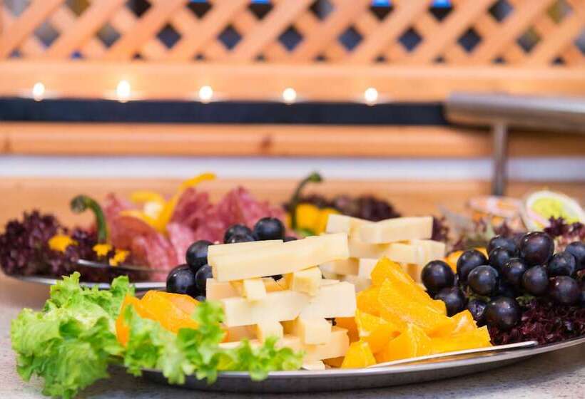 هتل Widmoos By Skinetworks