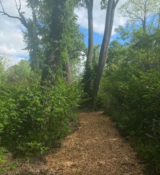 הוסטל Murphys Law Inn 7