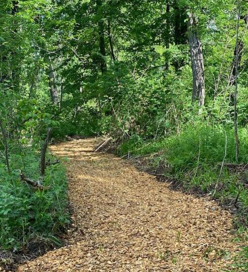 הוסטל Murphys Law Inn 7