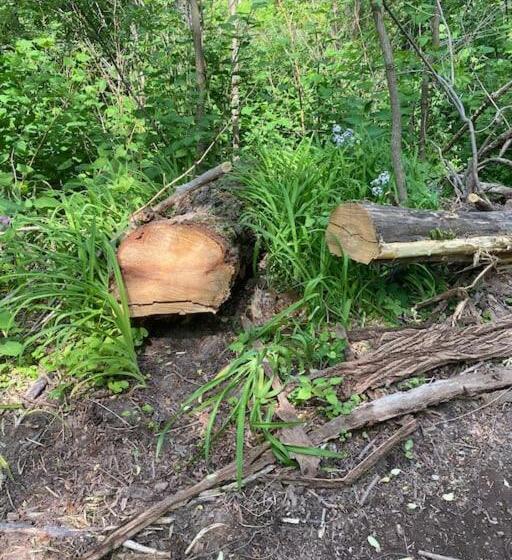 הוסטל Murphys Law Inn 7