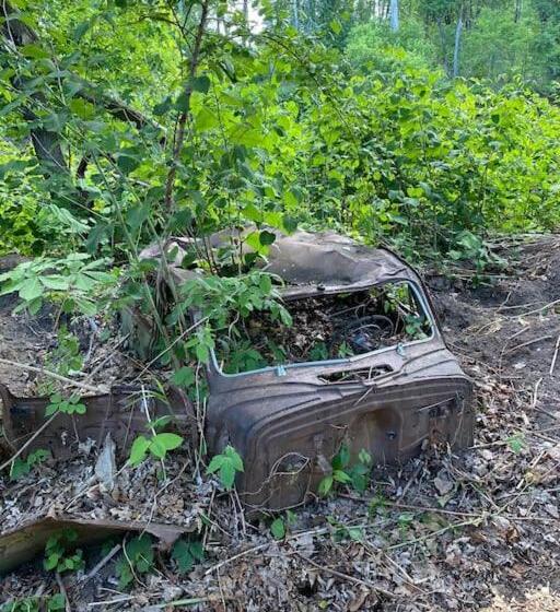 הוסטל Murphys Law Inn 7