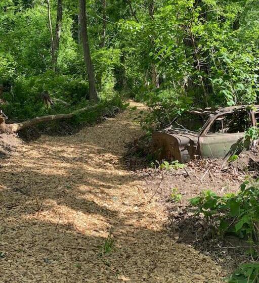 הוסטל Murphys Law Inn 7