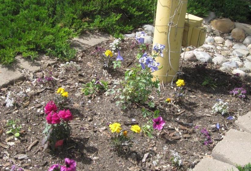 Мотель Wapiti Lodge