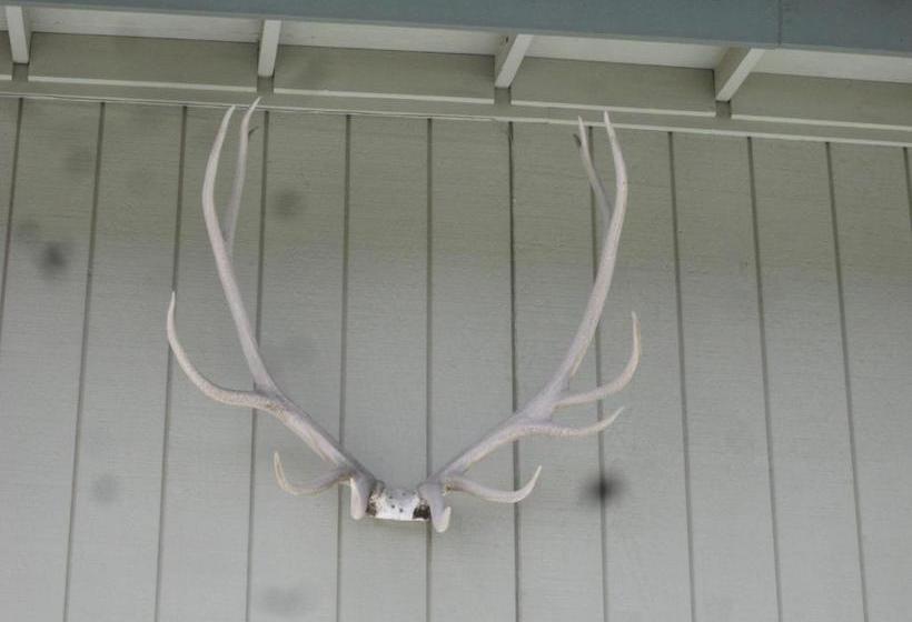 Мотель Wapiti Lodge