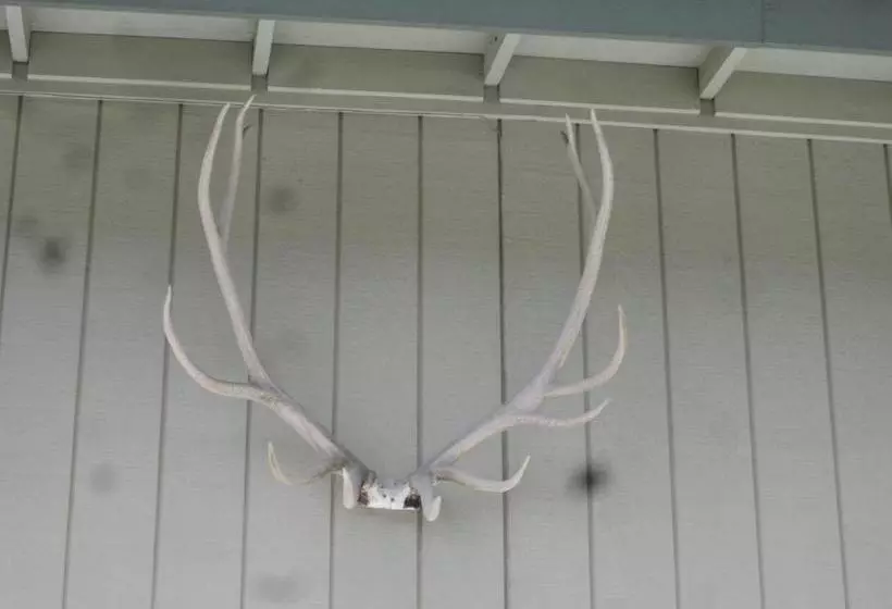 Motelli Wapiti Lodge