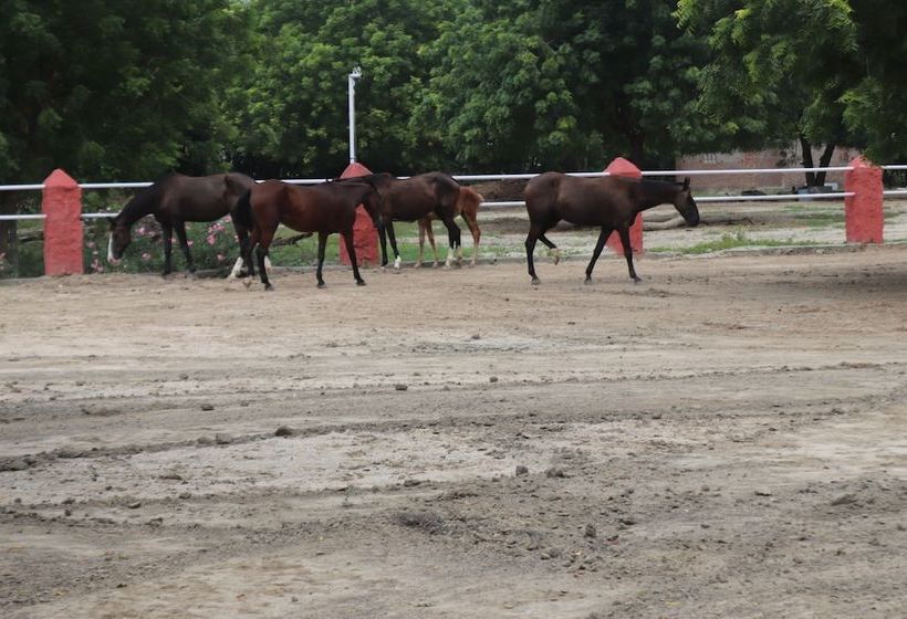 Lomakeskus Rann Riders
