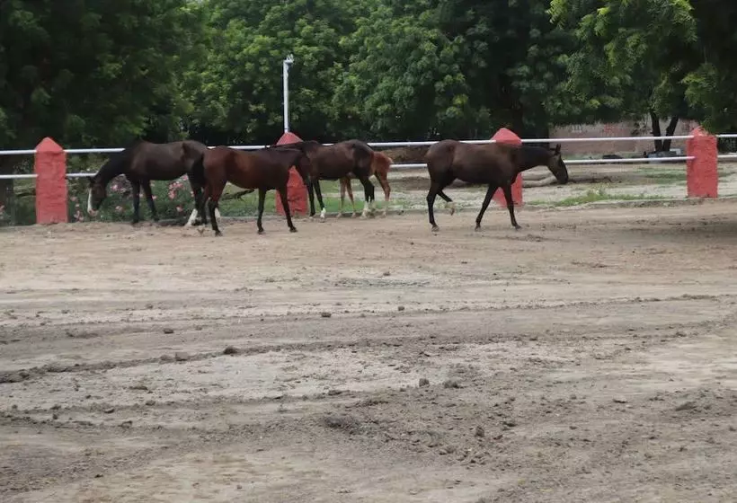 Lomakeskus Rann Riders