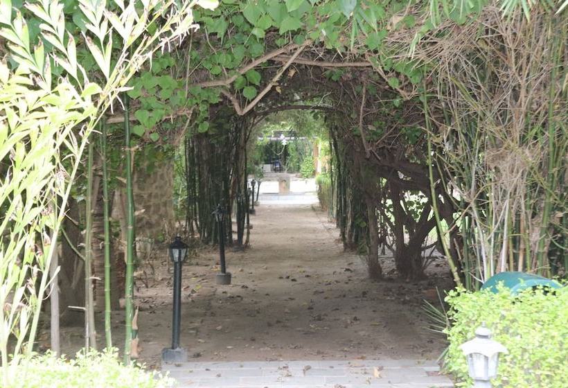 Lomakeskus Rann Riders