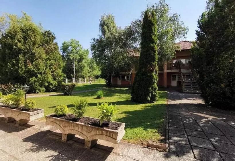 ベッドアンドブレックファースト Laguna Panzió