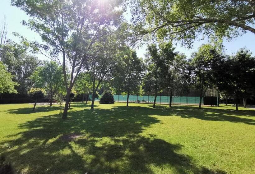 مبيت وإفطار Laguna Panzió