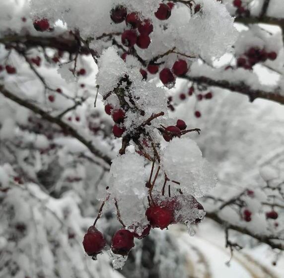 בית מלון כפרי Agriturismo La Vecchia Cascina