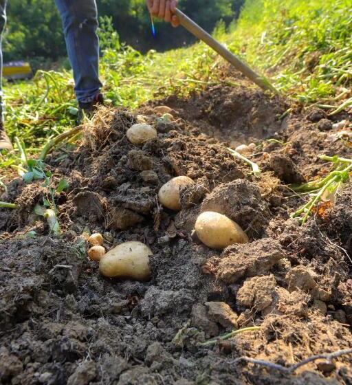 בית מלון כפרי Agriturismo La Vecchia Cascina