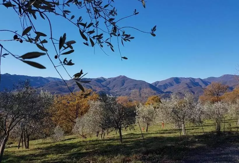 هتل Agriturismo La Vecchia Cascina