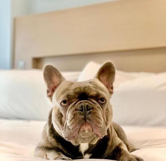 酒店 Wingate By Wyndham Bronx Haven Park