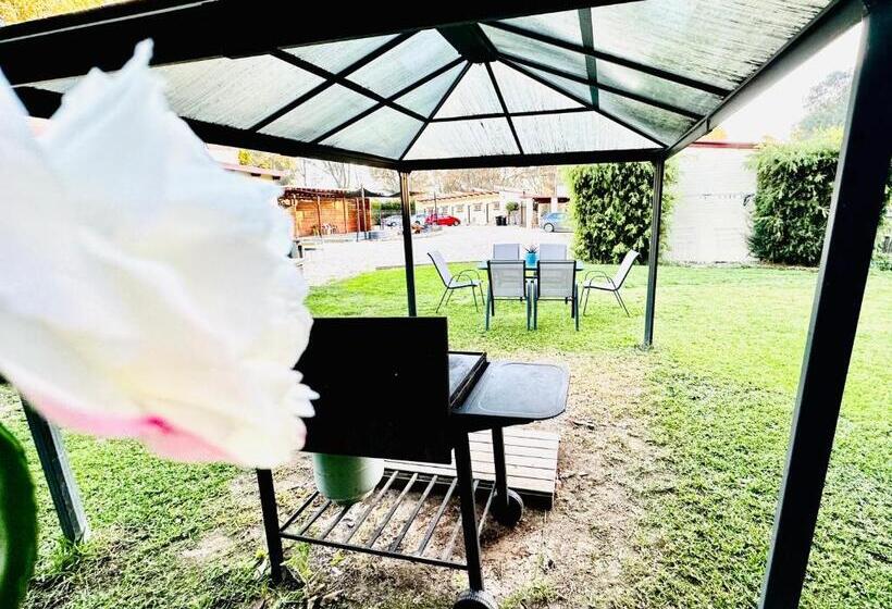 فندق على الطريق Auto Lodge Motor Inn