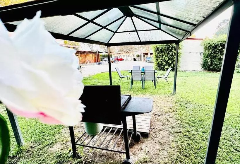 Motelli Auto Lodge Motor Inn