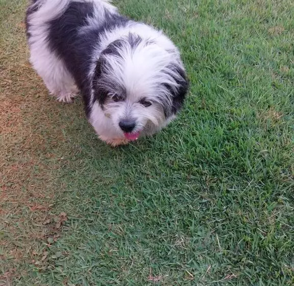 Majatalo Pousada Canto Dos Passaros