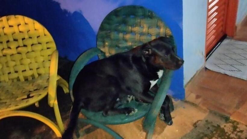 Pension (Hôtel basse catégorie) Pousada Canto Dos Passaros