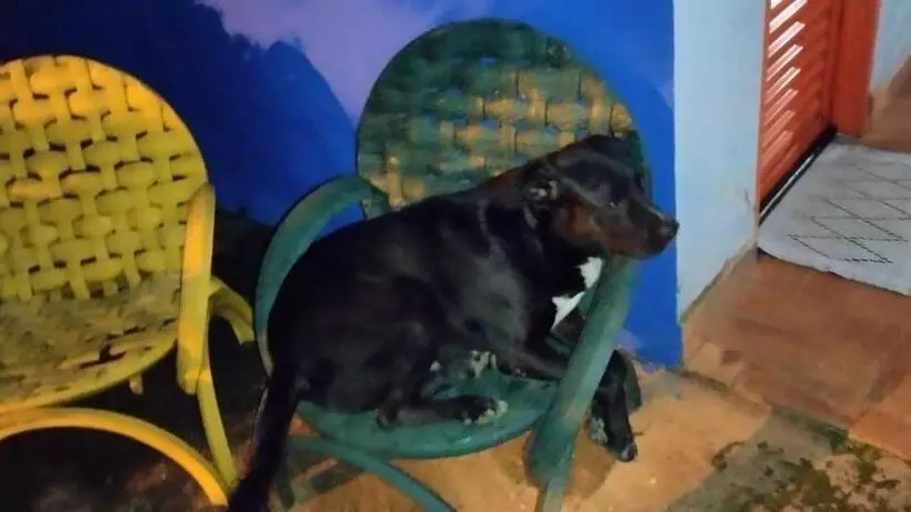 Majatalo Pousada Canto Dos Passaros